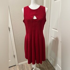 Danny and Nicole size 14 dress